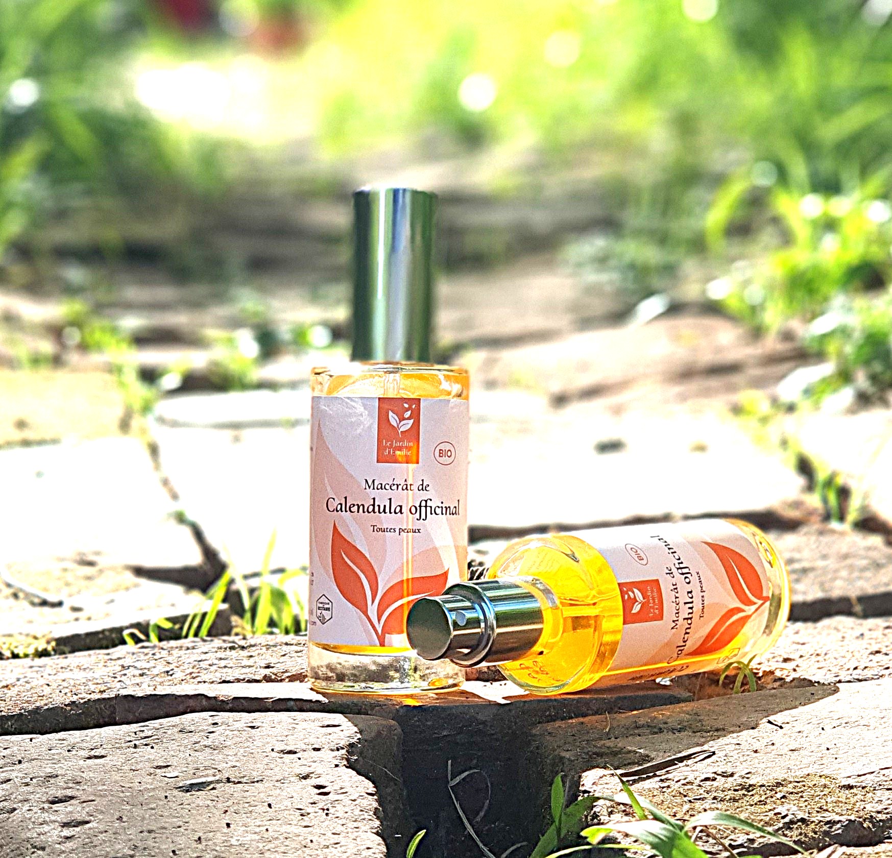 Macérat de calendula officinal bio