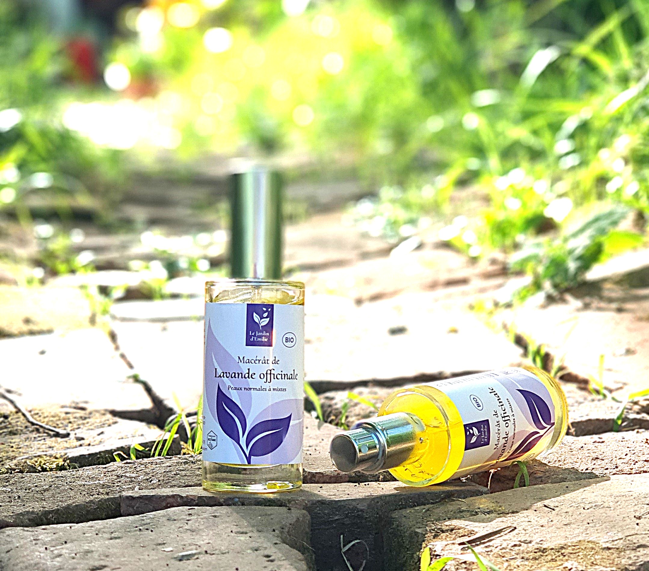 Macérât de lavande officinale bio